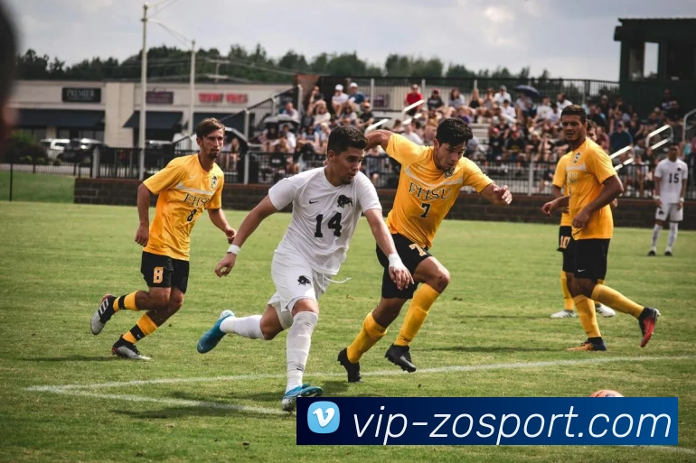 中欧体育APP 体育赛事宣传图